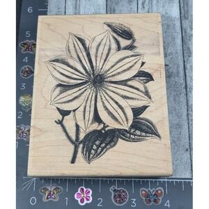Paper Inspirations Clematus Flower Leaves Plant 1999 Rubber Stamp Wood #C23